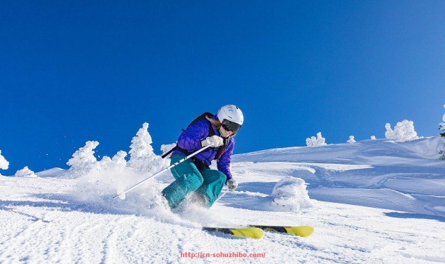 搜狐体育直播-世俱杯赛后评分及球员表现综合评价
