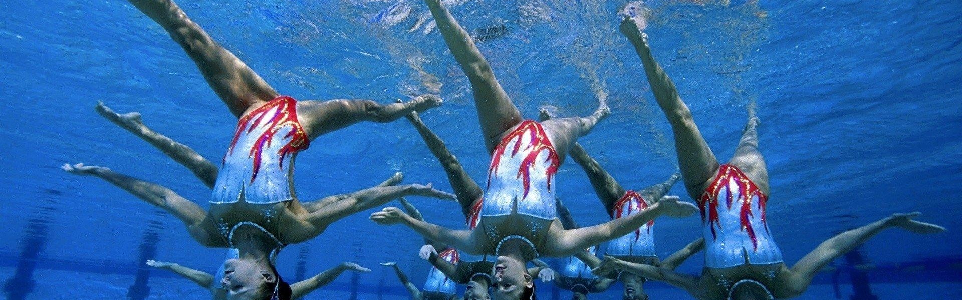 搜狐体育直播-最强表情包上线！世俱杯球迷互动新方式