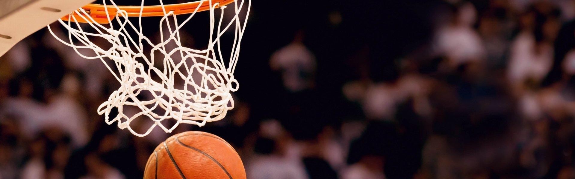 搜狐体育直播-健身器材那种品牌好的详细介绍与使用建议